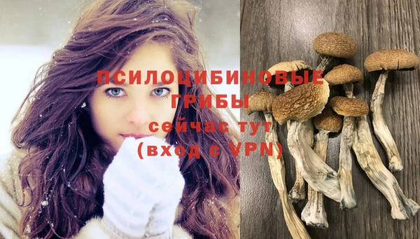 дурь Навашино